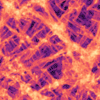 cosmic web grown from the Planck power spectrum